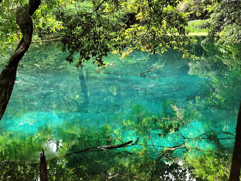 마루이케사마 (신비의 연못)