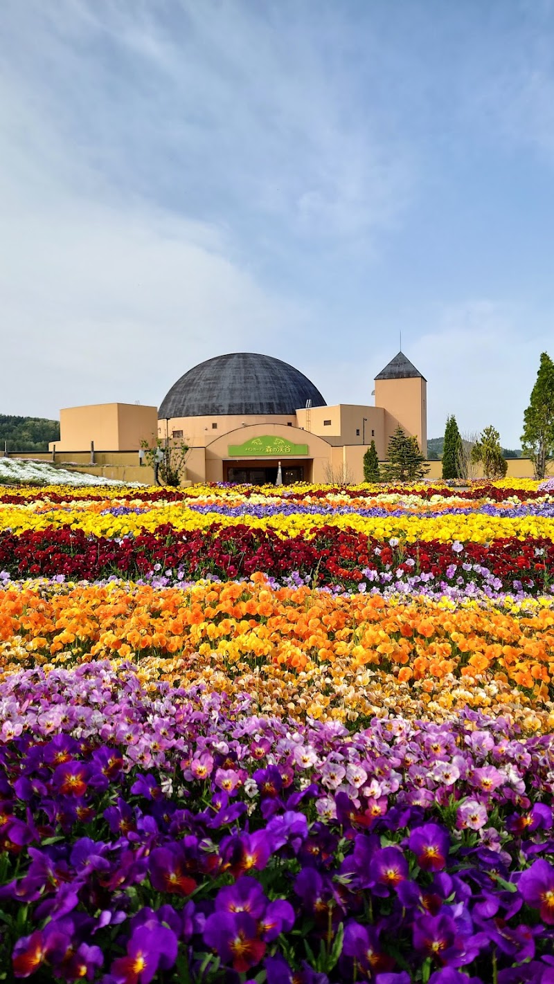 플라워&가든 모리노카제