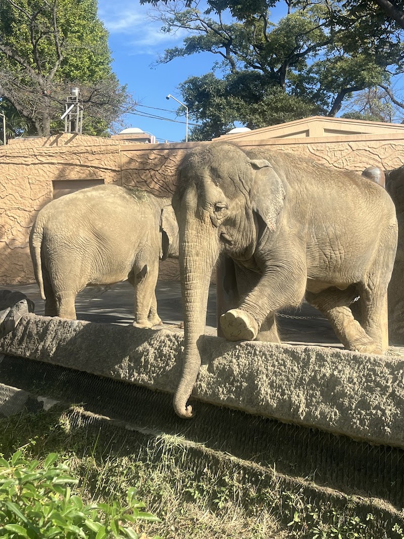 히타치 카미네 동물원