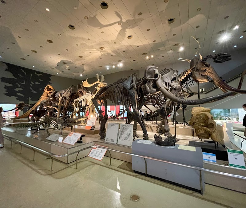 大阪市立自然史博物館