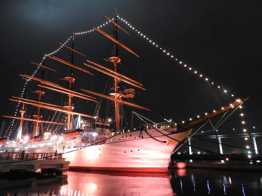 해왕환 파크 라이트업