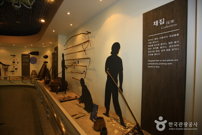 속초시립박물관