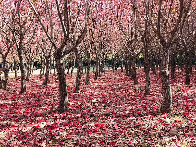 항파두리 항몽유적지