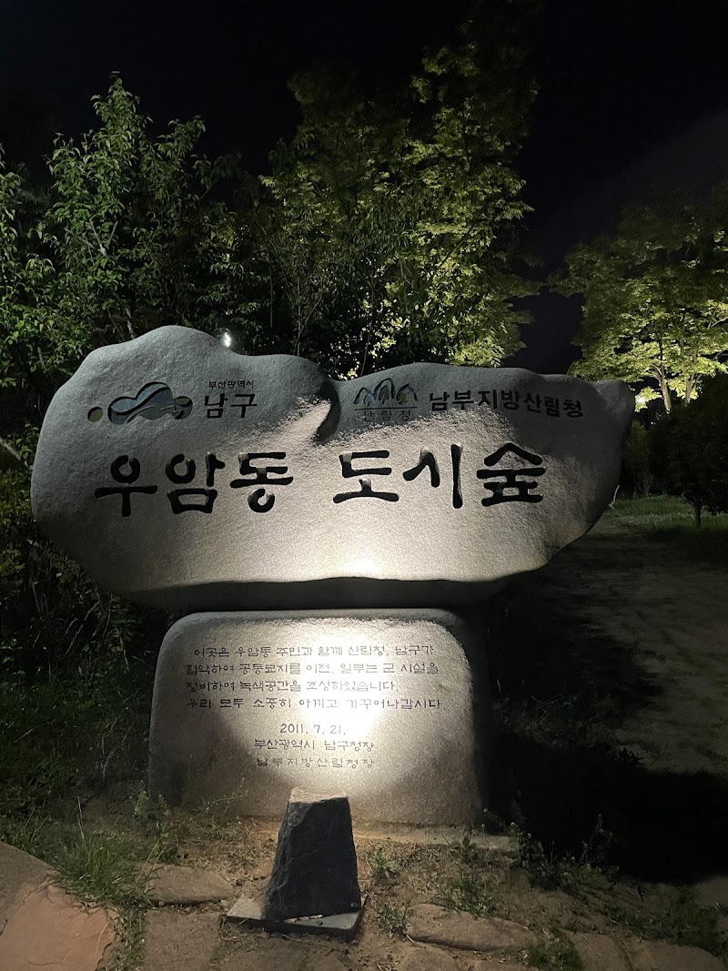 우암동 성당(도시숲) 야경