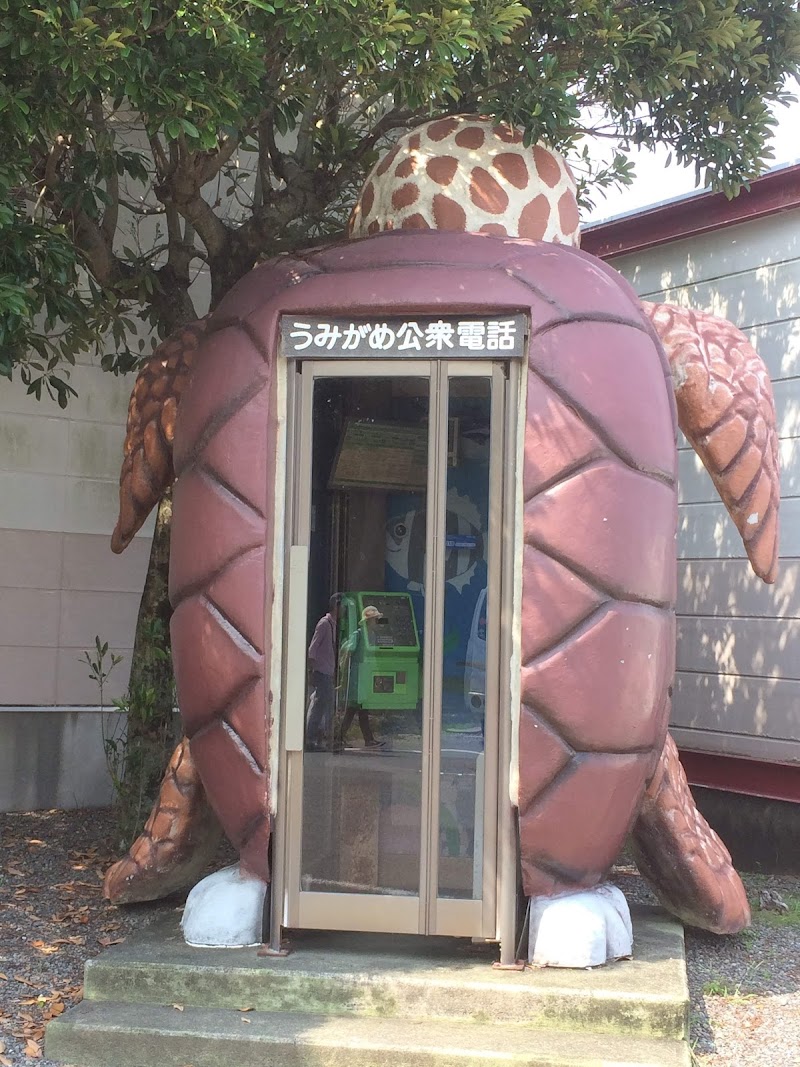 오하마 해안 (바다거북 산란지)