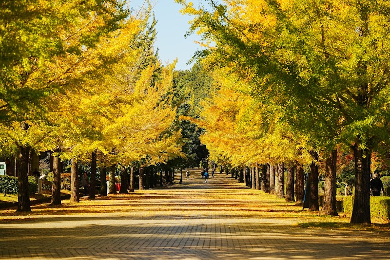 치치부 뮤즈파크