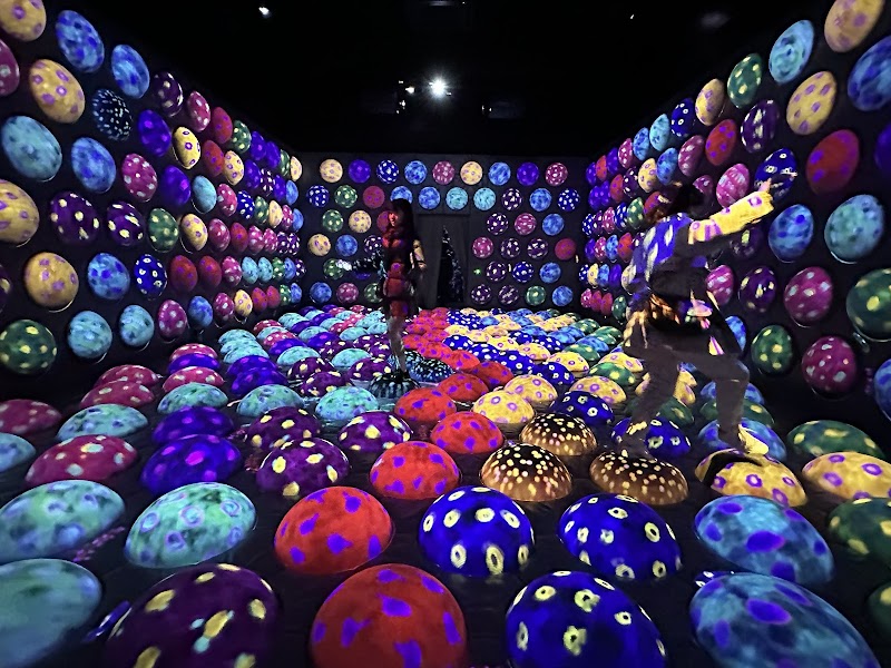 팀랩 포레스트 후쿠오카