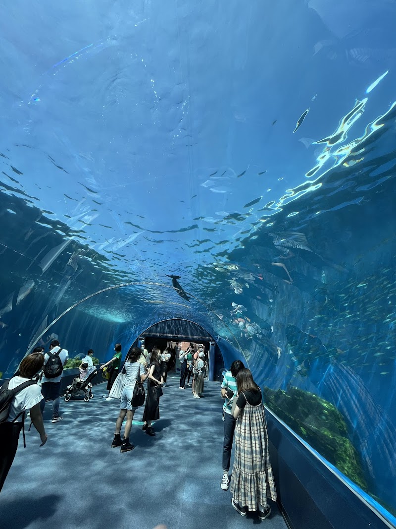 핫게이지마 시 파라다이스