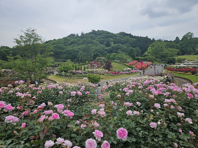 이바라키 플라워파크