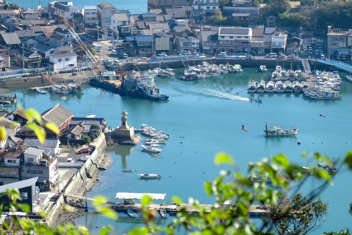 도모노우라 조요토