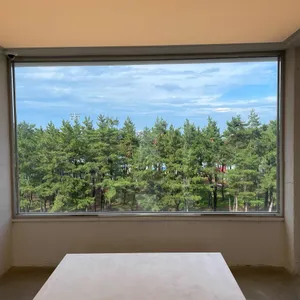 보사노바커피 속초점