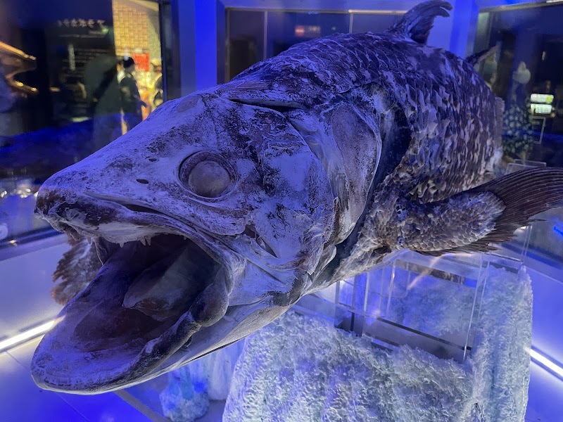 누마즈코 심해수족관