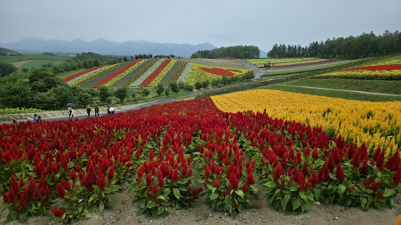 시키사이노오카