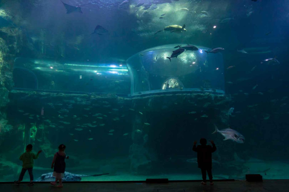 아쿠아플라넷 여수