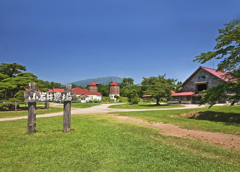 고이와이 윈터 일루미네이션