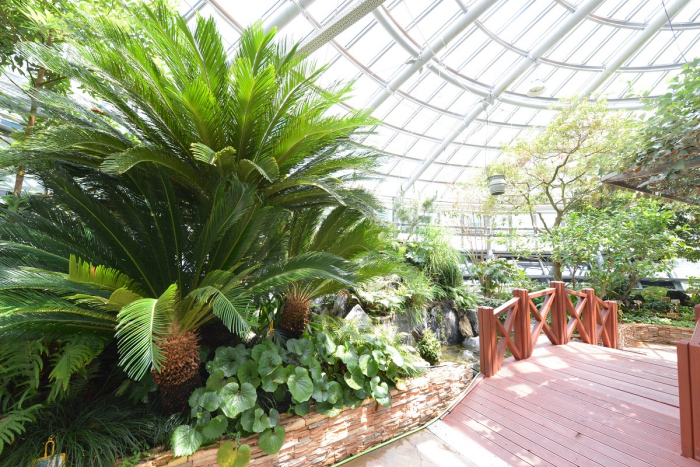 국립중앙과학관