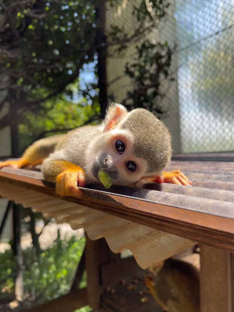 도쿠시마 동물원