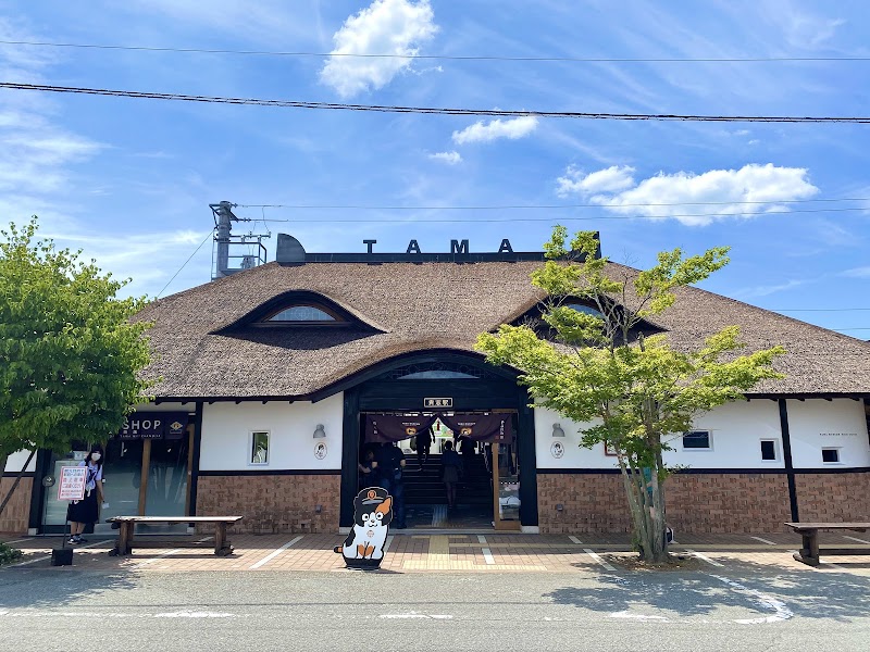 贵志站（猫站长）