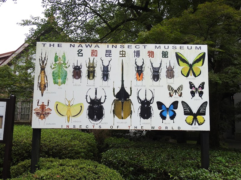 나와 곤충박물관