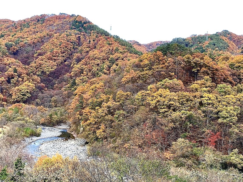 시라카와 빙주군