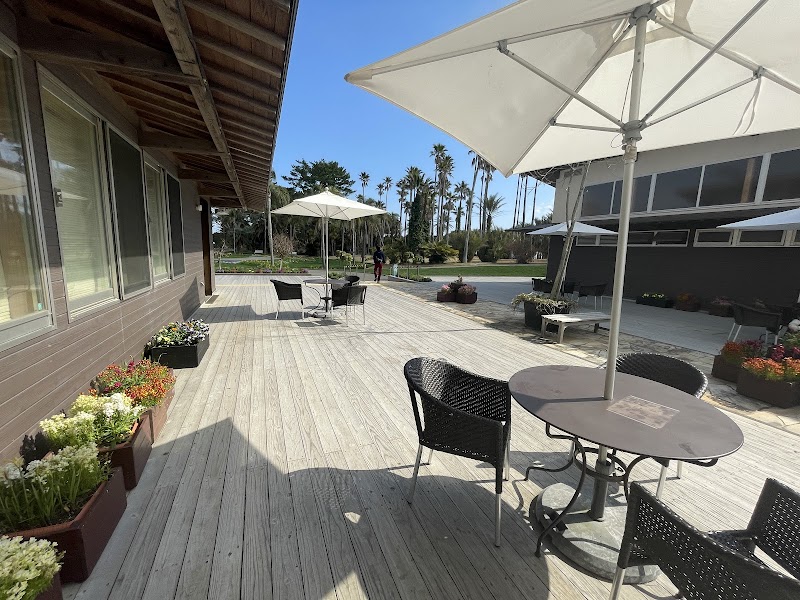 파라보라쵸 카페