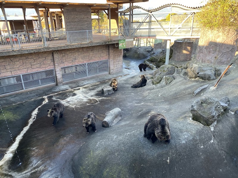 아소 카드리 도미니언