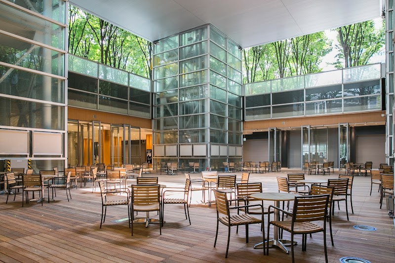 사이타마 신도신 일루미네이션