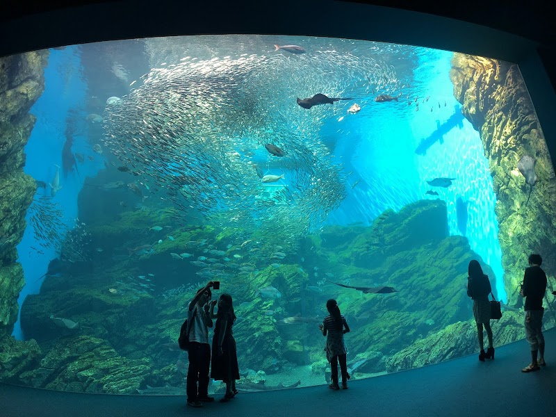 센다이항 전망대