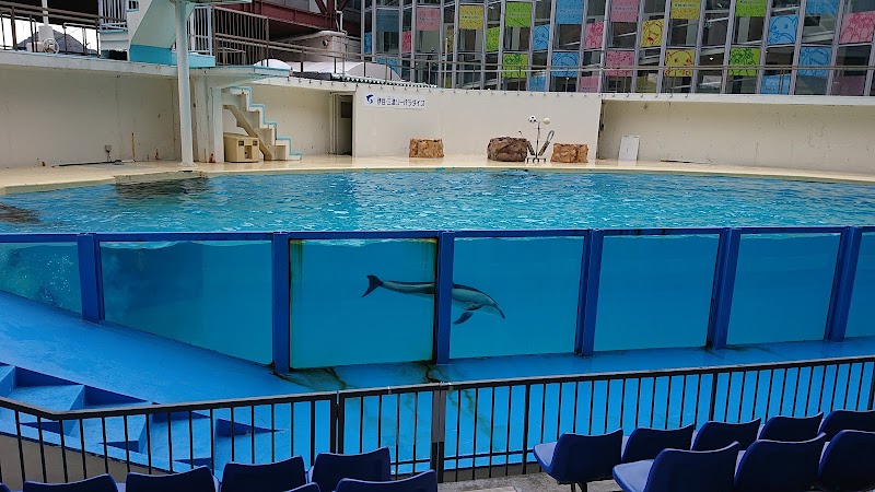 이즈 미토 시파라다이스