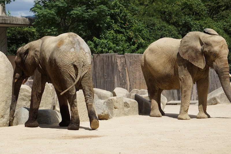 히로시마시 아사 동물공원