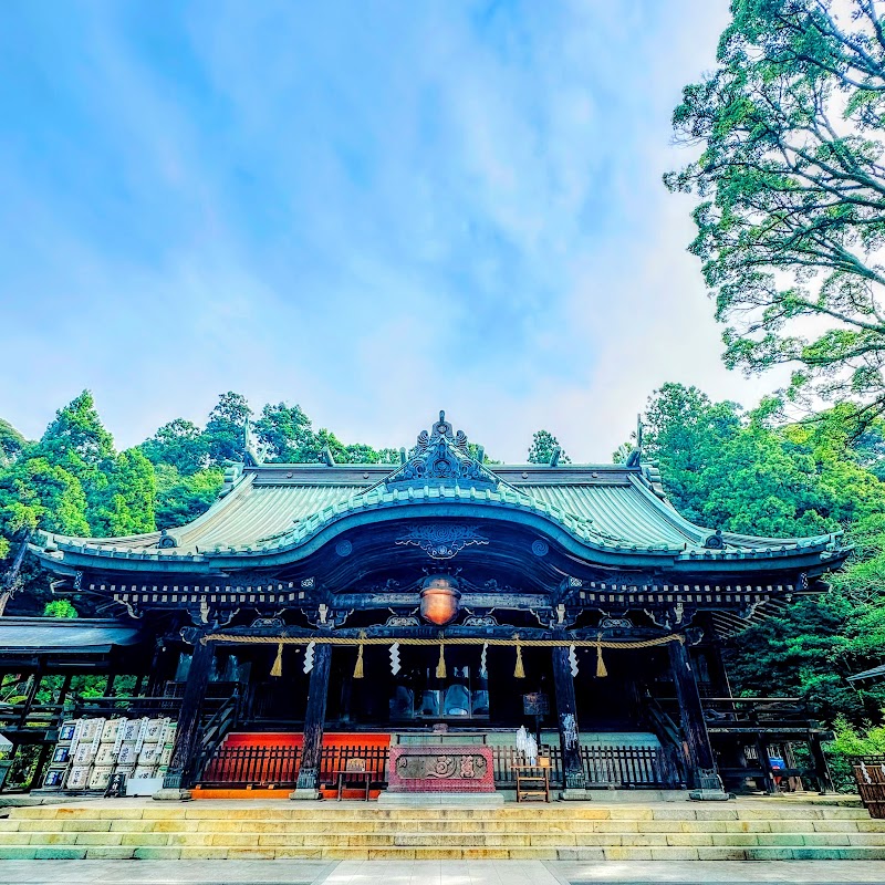 쓰쿠바산 야경 (스타더스트 크루징)