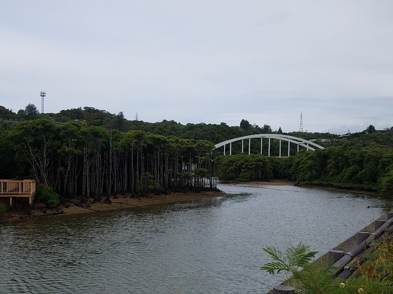 오쿠비가와 맹그로브