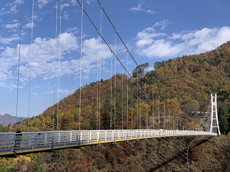 우에노 스카이브리지