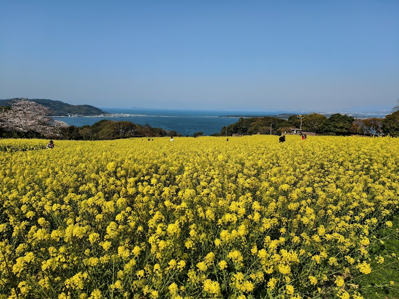 노코노시마 아일랜드 파크