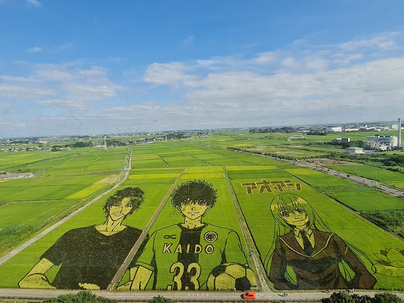 교다 후라이 (후라이 먹방거리)