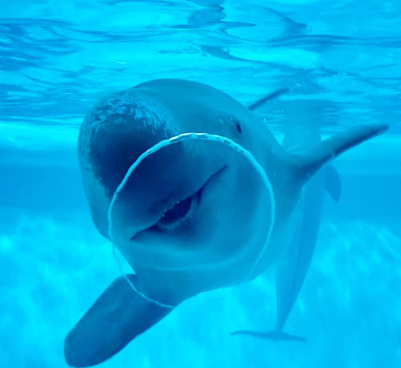 마린월드 우미노나카미치