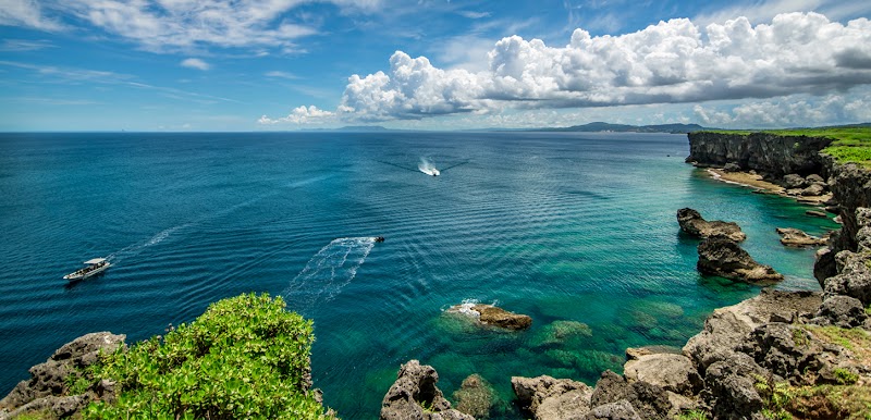 오키나와 고래관찰