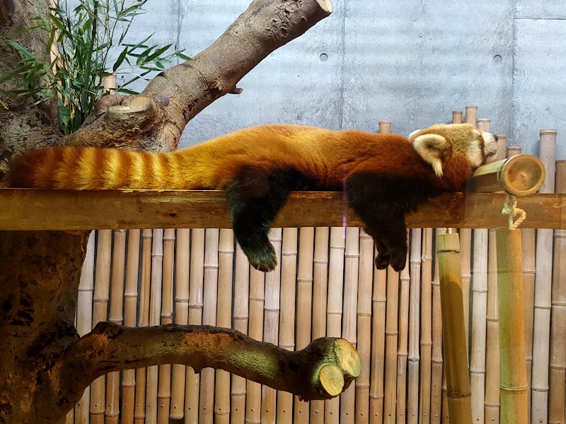 いしかわ動物園