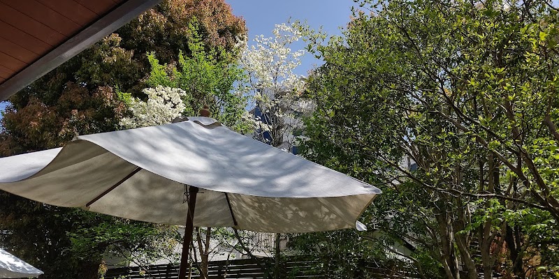 사자 커피 본점