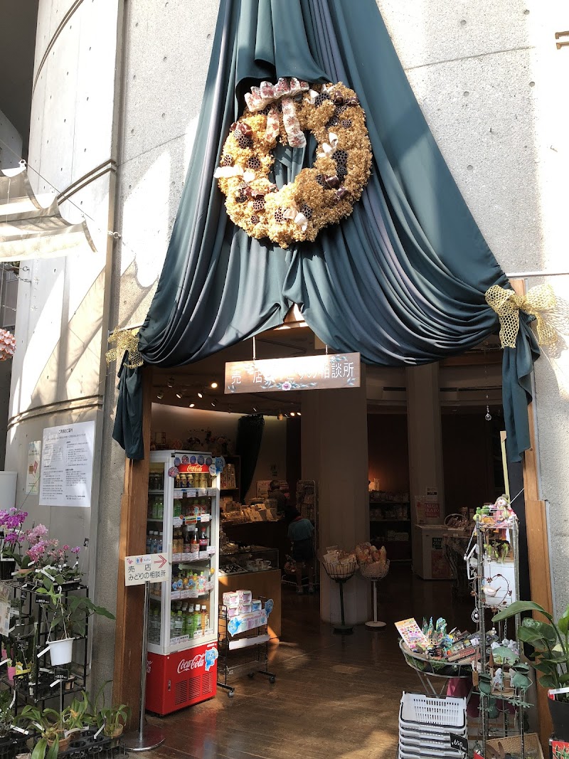 보타니카 뮤지엄