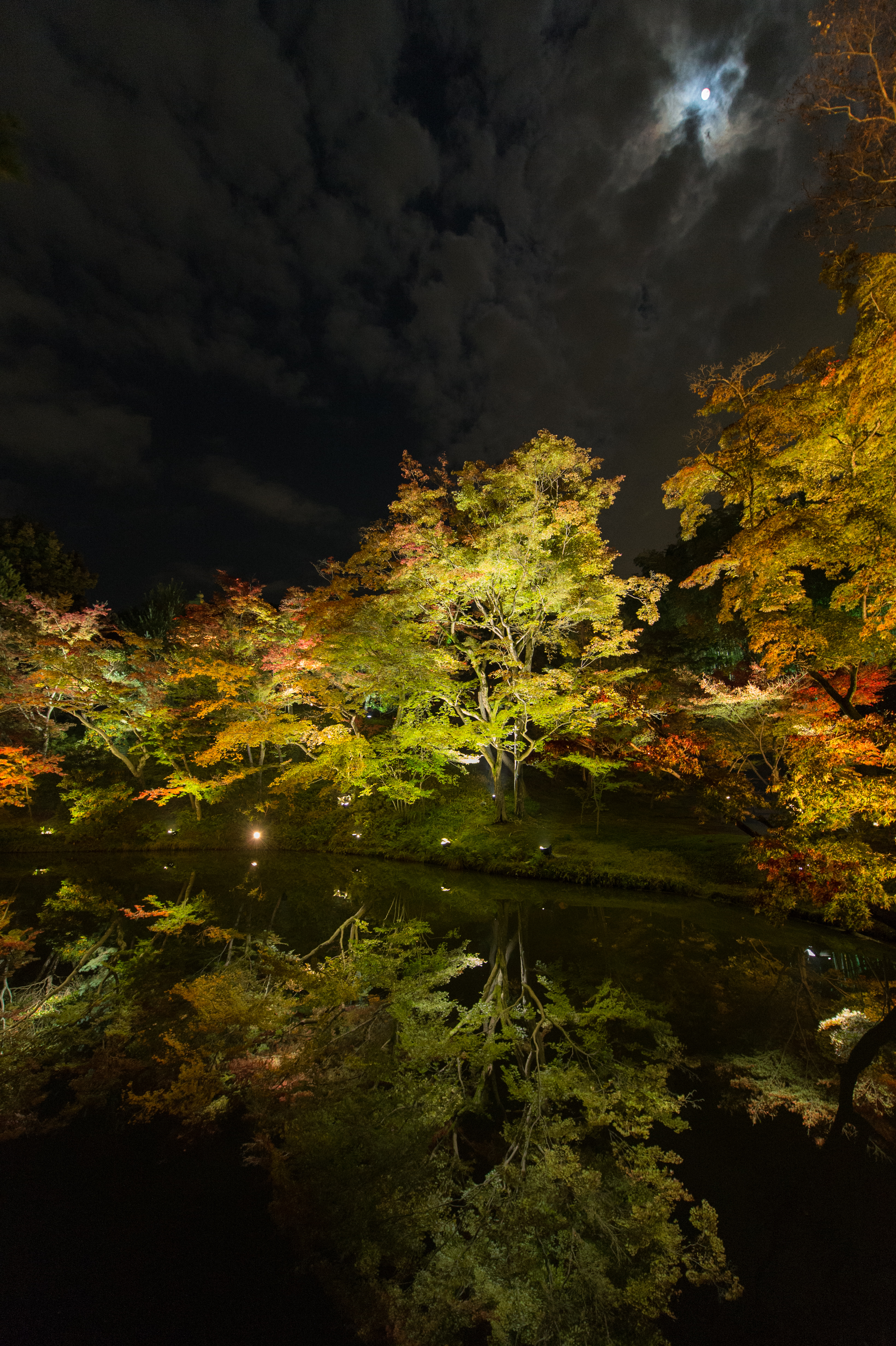 고다이지 야간 라이트업