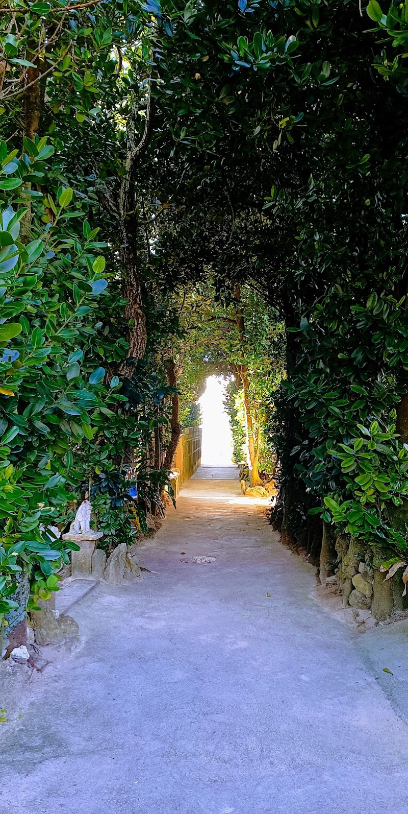 비세 후쿠기 가로수길