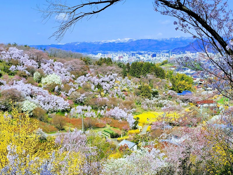 하나미야마 공원