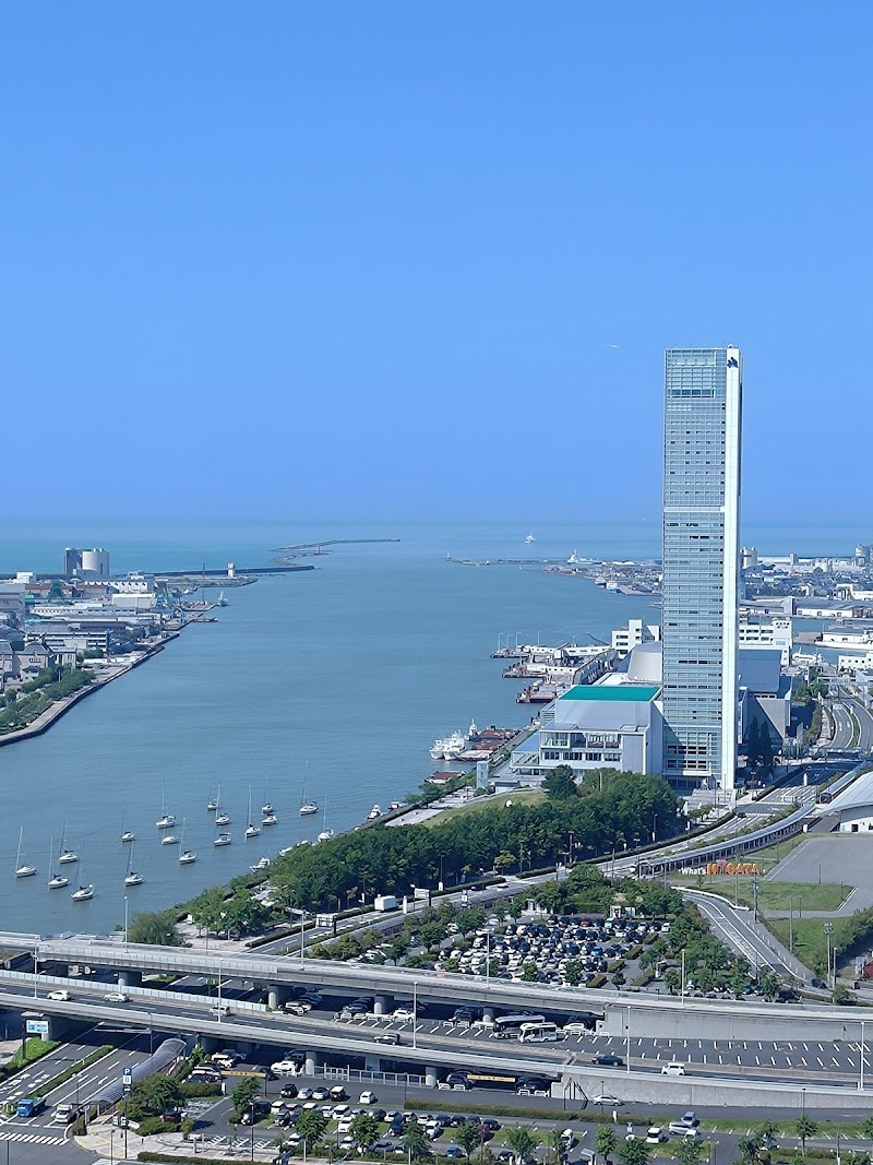 미디어십 전망대