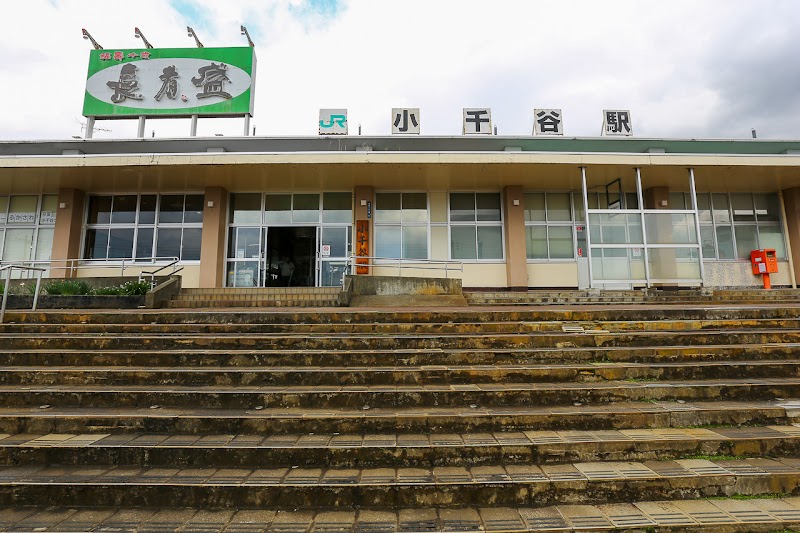 오지야 열기구 대회