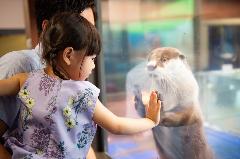 이세 씨 파라다이스