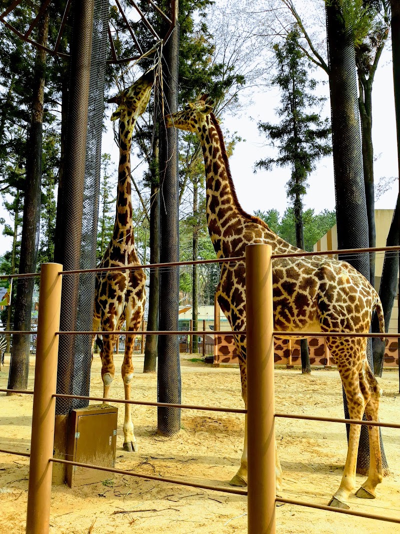 더파크(부산동물원)