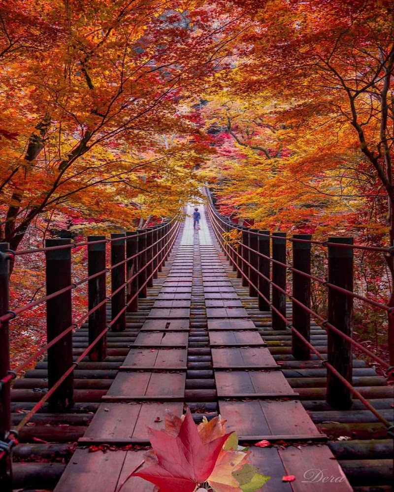 류진 댐 카누 체험