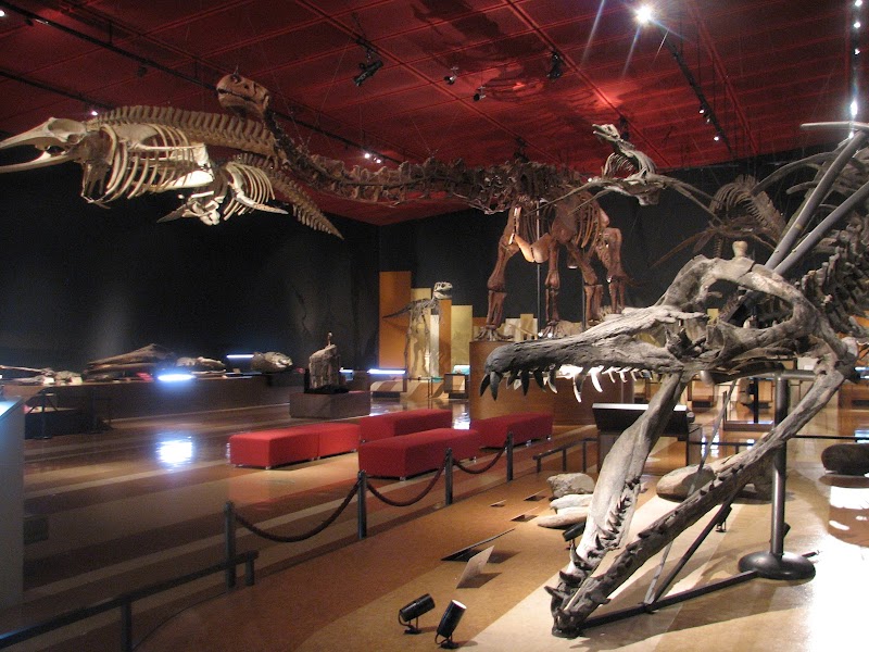 이와키시 석탄화석관 호루루