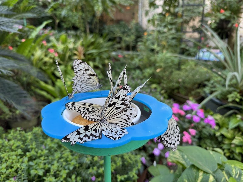 石川県ふれあい昆虫館